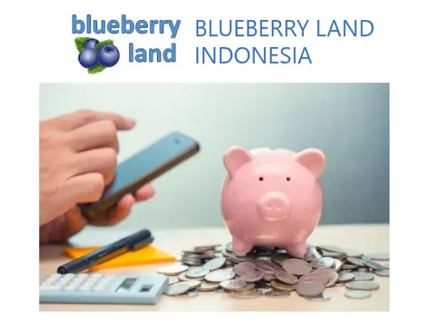 Review Blueberry Land 2026, Penipuan atau Bukan? 1 apa itu Blueberry Land