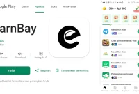 review earnbay