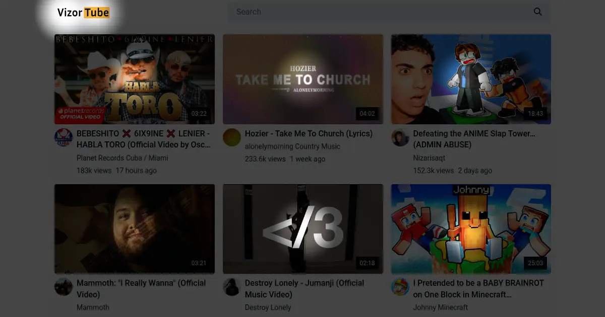 vizortube