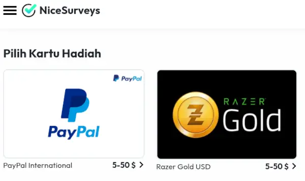 Review NiceSurveys 2026, Penipuan atau Bukan? 2 imbalan NiceSurveys